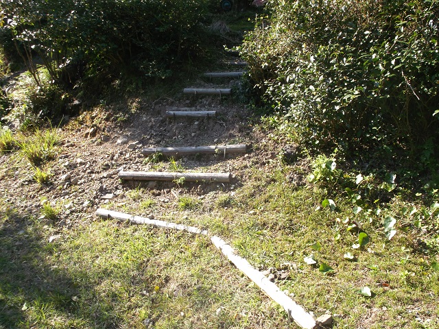 山田のユズ畑の階段